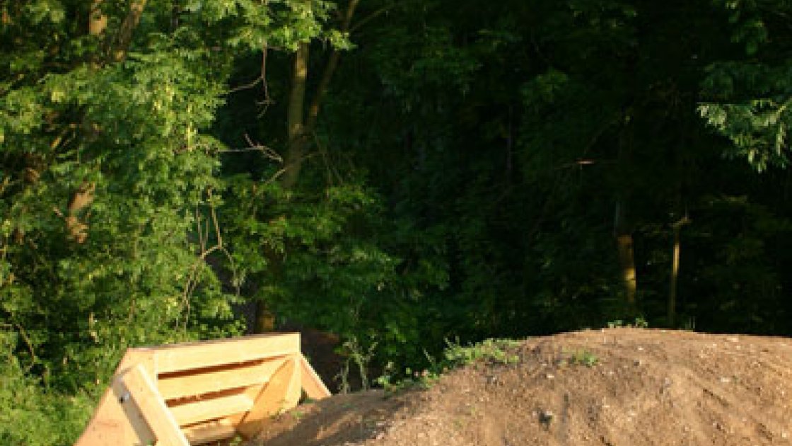 Parkpilot home dirt spot